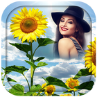 Sunflower Photo Frames иконка