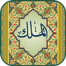 Surah Mulk (Qari Sudais) aplikacja