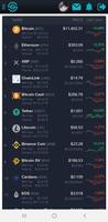 CryptoGeo Ekran Görüntüsü 2