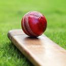 Cricket Wallpaper APK