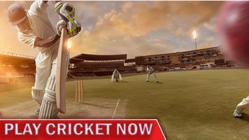 Cricket Games 2023 Affiche