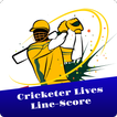 Cricket Live Score-Final Match