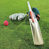 Icona Cricket