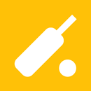Cricket News APK