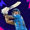 King Of Cricket Games