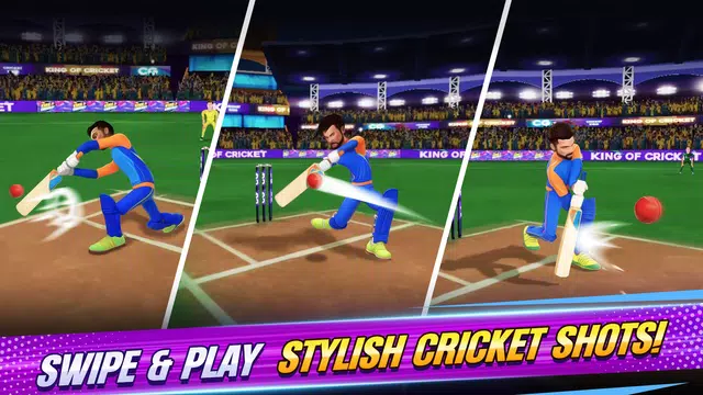 Screenshot 1 for King Of Cricket Games