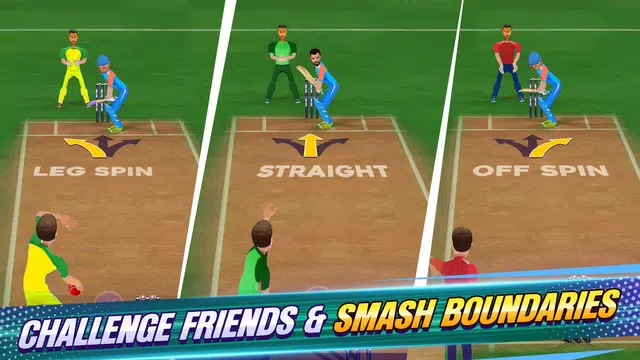Screenshot 23 for King Of Cricket Games