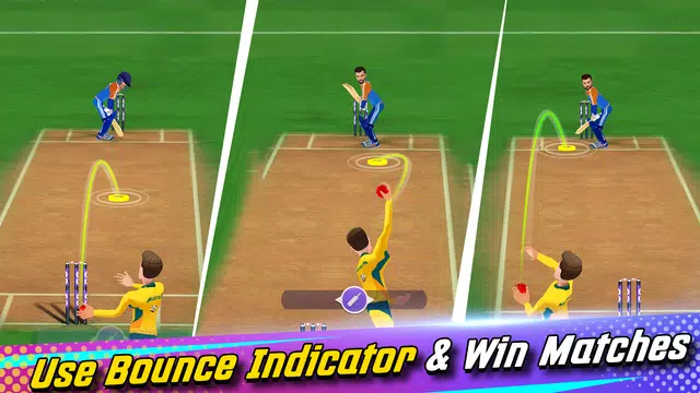 Screenshot 31 for King Of Cricket Games