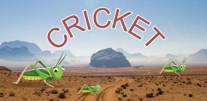 Crickets Meme Sound Button Affiche