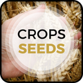 Crops Seeds