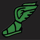 LightRun icon