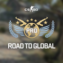 Road to Global CS:GO Guide Pro APK