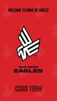 BAD NEWS EAGLES poster