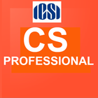 CS Professional icône