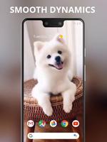 Cute animal white puppy live wallpaper capture d'écran 1