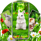 Fond avec des lapins de Pâques icône