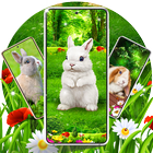 Süße Hasen-Oster-Wallpaper Zeichen
