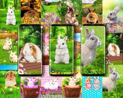 Fond avec des lapins de Pâques Affiche
