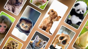 Fondos com animales lindos 4K Poster