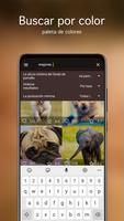 Fondos com animales lindos 4K captura de pantalla 2