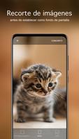 Fondos com animales lindos 4K captura de pantalla 3