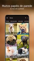 Papéis de parede animais fofos imagem de tela 1