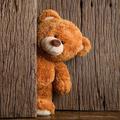 Cute Bear Wallpaper