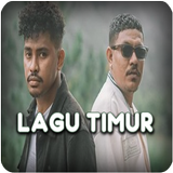 Mp3 Lagu Timur icône