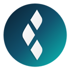 DyNAset Software icon