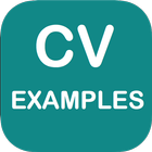 CV EXAMPLES ไอคอน