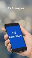 CV EXAMPLES پوسٹر