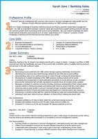 CV Formats اسکرین شاٹ 3