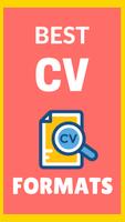 CV Formats poster
