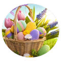 Egg Alert