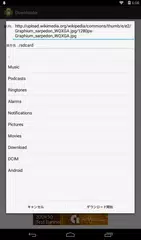 Downloader アプリダウンロード