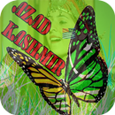 Kashmir Flag Photo Editor APK