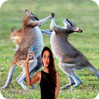 Selfi With Kangaroo - Wallpaper Photo Editor أيقونة