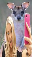 Selfi With Kangaroo - Wallpaper Photo Editor تصوير الشاشة 3