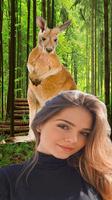 Selfi With Kangaroo - Wallpaper Photo Editor الملصق