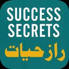 Success Secrets icône