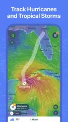 Ventusky: Weather Forecast XAPK download