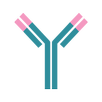 ČSAKI APK