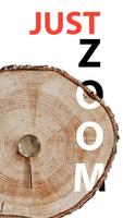 JustZoom Poster