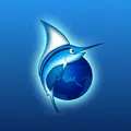 Fishsurfing