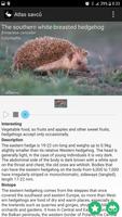 Mammals of Europe Free ภาพหน้าจอ 3
