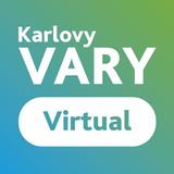 Vary Virtual icône