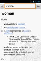 Wiktionary Dictionary Affiche