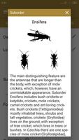 Orthoptera Hunter CZ screenshot 1