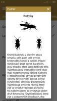 Lovec rovnokřídlých CZ imagem de tela 1