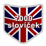 Angličtina do kapsy (slovíčka)